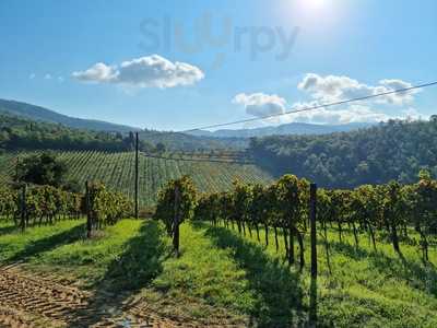 Terreno Ristorante, Greve in Chianti