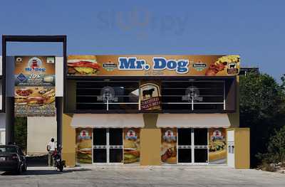 Mr Dog Del Caribe Ctm