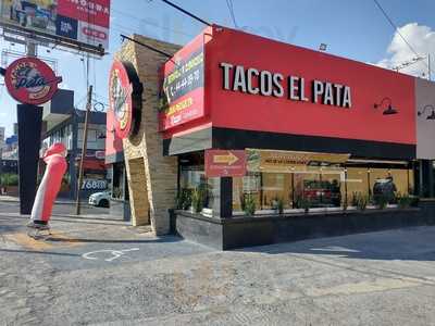 Tacos El Pata, Monterrey - Ver menú, reseñas y verificar los precios