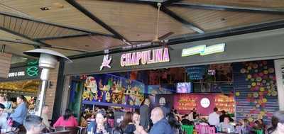 Chapulina