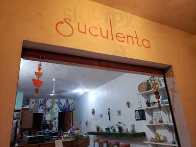 Suculenta Tamales Veganos Tulum