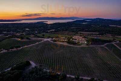 Degustazione Tenuta Petra Bianca, Palau