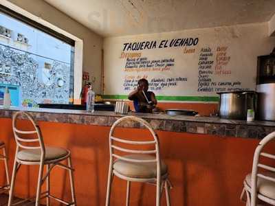 Restaurante Bar Taqueria El Venado