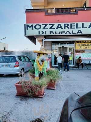 Caseificio La Delizia, Maddaloni