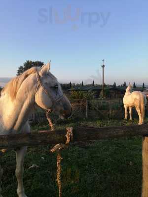 Fattoria Delle Due Rose, Vetralla