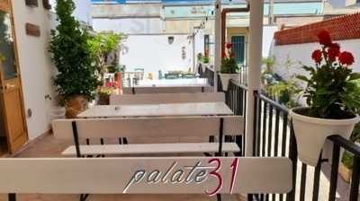 Palate 31, Presicce