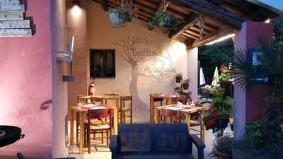 Trattoria Armonia, Cinto Euganeo