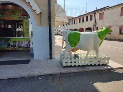 Il Gelato del Re, Trevignano