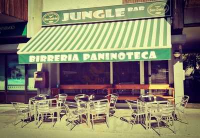 Jungle Bar