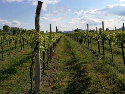 Azienda Agrituristica La Rosa, Rubano