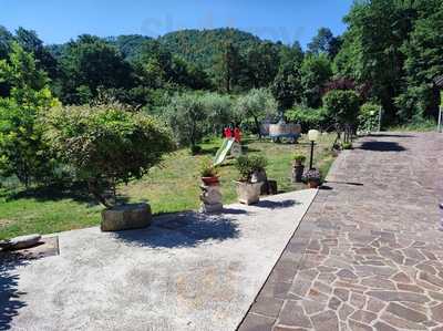 Il Giardino Degli Ulivi