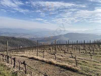 Terre di Serrapetrona, Serrapetrona