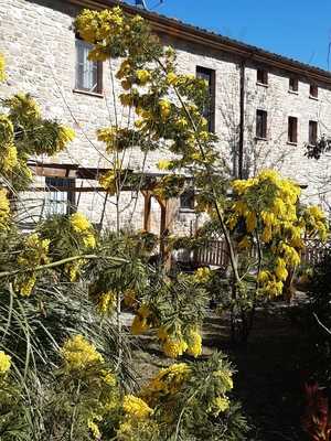 Le Blanc Matou Agriturismo