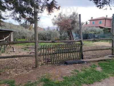 Antica Posta Agriturismo, San Gregorio da Sassola