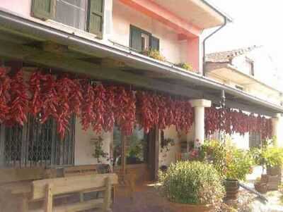 Ristorante dell'Agriturismo Fattoria Bio, Satriano di Lucania