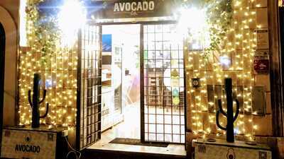 Avocado Bar, Roma