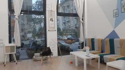 Catmint Cat Café, Milano