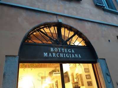 Blue M Milano - Bottega Marchigiana