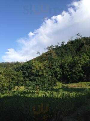 Azienda Agricola Il Ghizzo