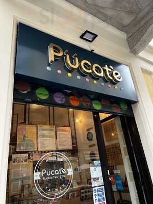 Pucate