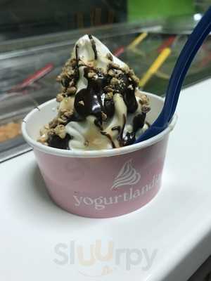 Yogurtlandia Marconia, Marconia