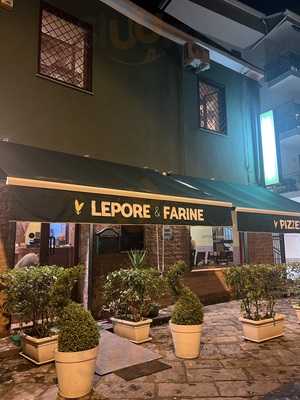 Lepore & Farine