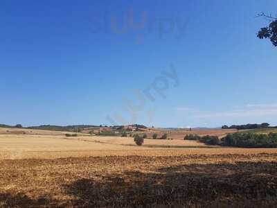 Poggio Sassineri, Magliano in Toscana