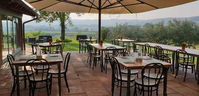 contea di Val d'Amone, Brisighella