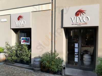 Vivo Parma - La Galleria