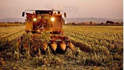 Conserve Italia, San Lazzaro di Savena