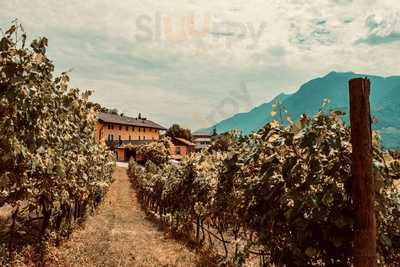 Ristorante La Vigneria