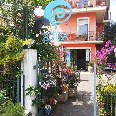 Ristorante Greco Zorba