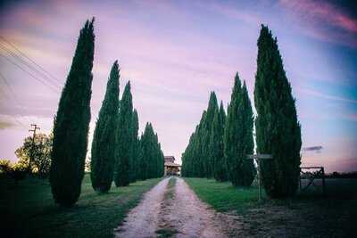 Agriturismo Poggio Primavera, Tuscania