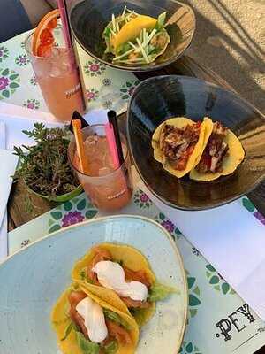 Peyote Tacos Bar, Genova