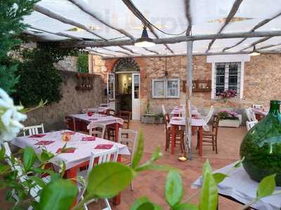 Trattoria Il Gatto Rosso, Pietrasanta