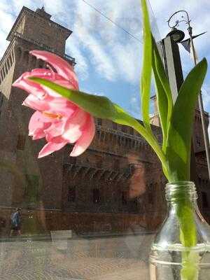 Caffe Divino, Ferrara