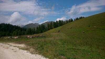 Agriturismo Malga Valfontane, Castello Tesino