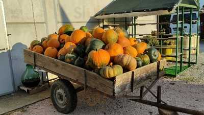 Azienda Agricola Agri Viva