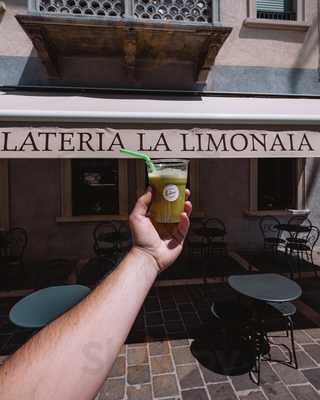 La Limonaia, Torri del Benaco