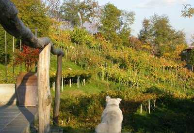 Agriturismo Cascina del Frances, Scanzorosciate