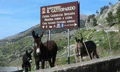 Agriturismo Il Gattopardo