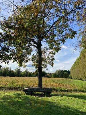 Agriturismo Al Redentor Restaurant, San Biagio di Callalta