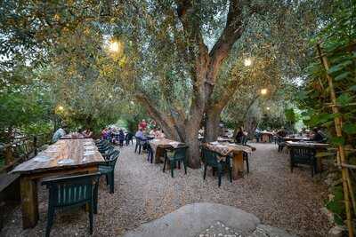 Ristorante Osteria Pane E Vino