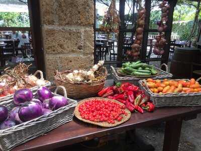 Agriturismo Il Contadino