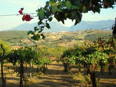 Agriturismo Sangiovanni