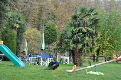 Tenuta Agricola Nicolini, Varese