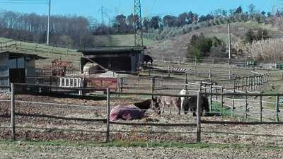 Il Circolino Arci Guasticce, Guasticce