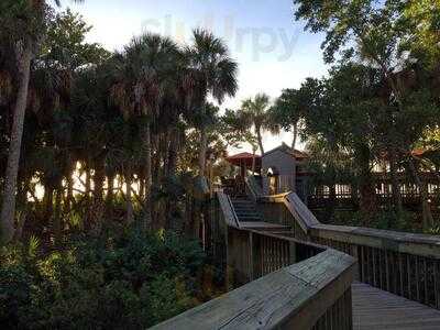 Gumbo Limbo