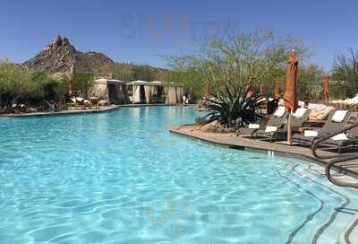 Saguaro Blossom, Scottsdale