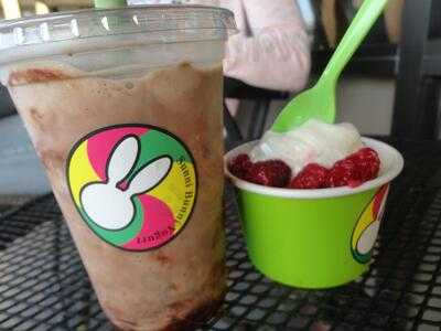 SunniBunni Yogurt & Smoothie Shop, Sarasota